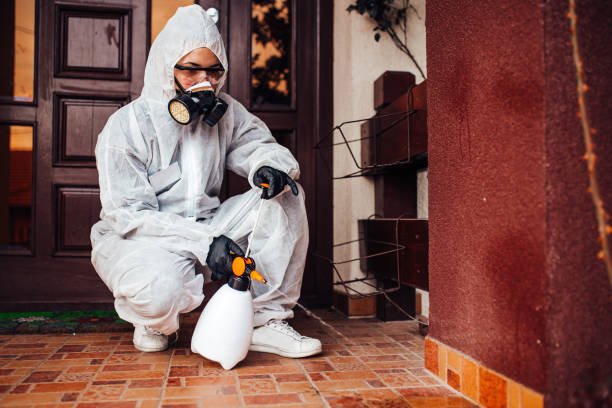 Attic and Crawl Space Rodent Treatment in Bethel Island